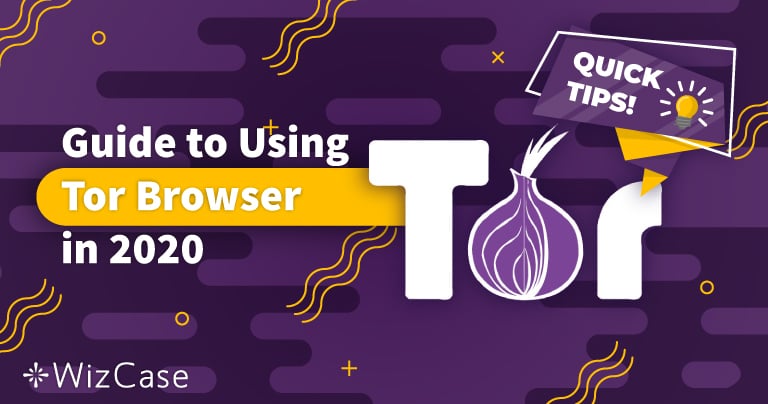 Przeglądarka Tor dla początkujących: z czym to się je w 2024 r.