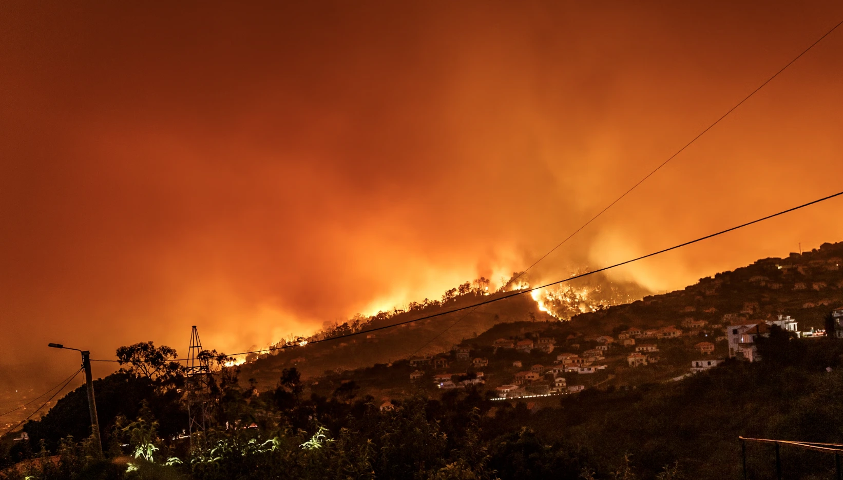 Google wprowadza FireSat: Nowe narzędzie AI do wykrywania pożarów lasów